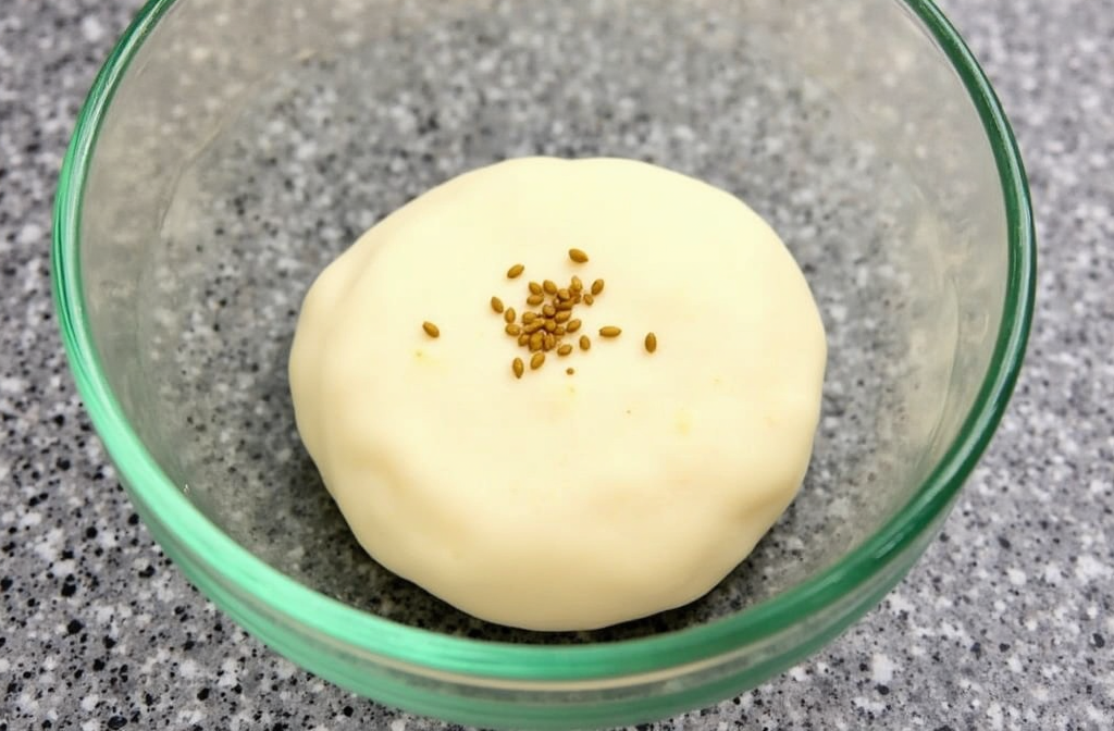 yeast bowl
